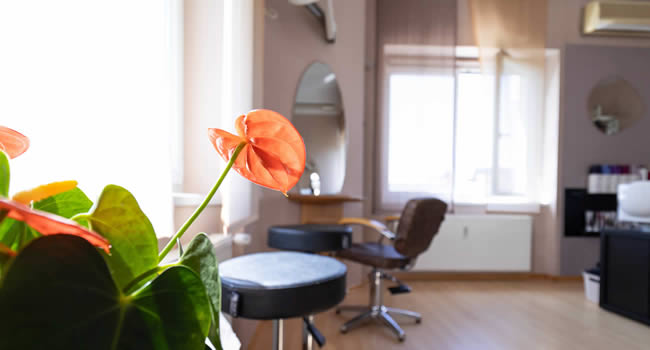 Blick vom Wartebereich in den Salon mit oranger Blume im Bild.